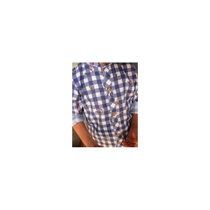 Camisa Niño Alpes Kids Chocolate